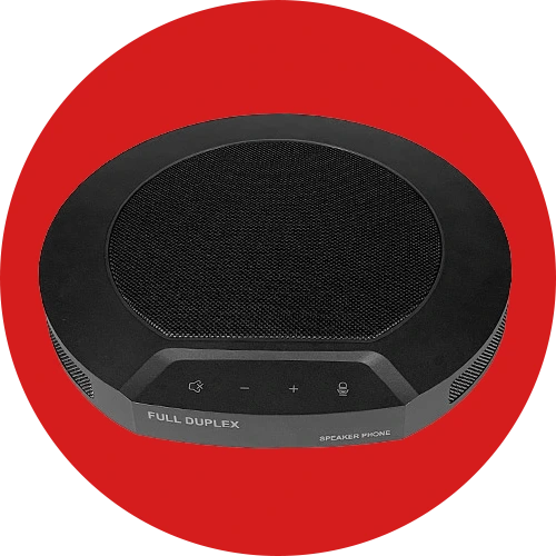 Microphone